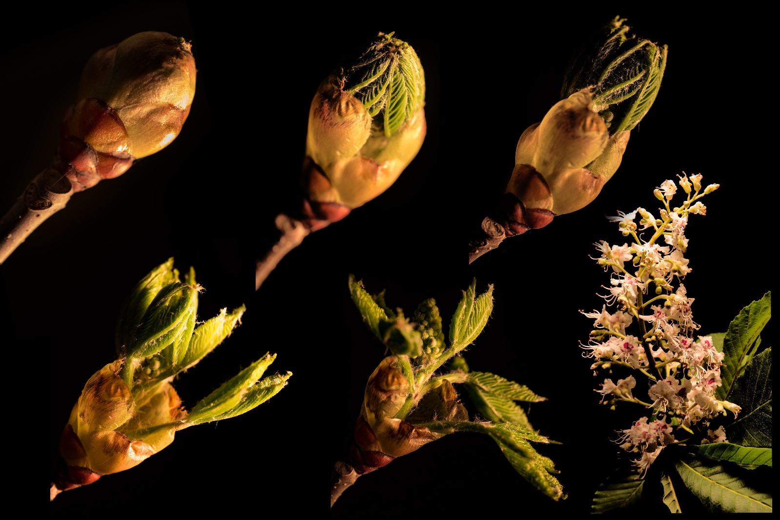 Platz 6 Christian Reichert